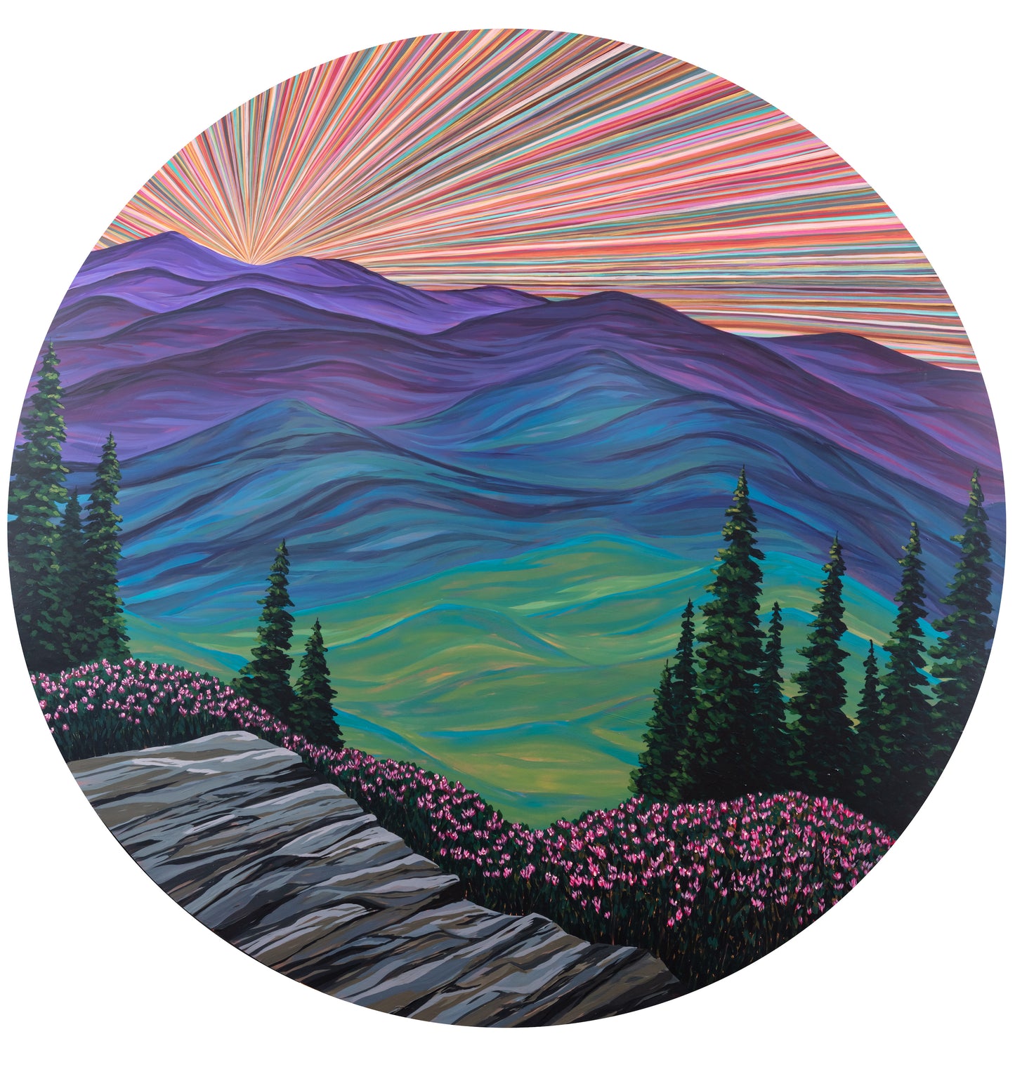 So, are we just gonna sit here and watch the sunset?