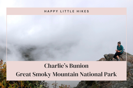 Charlie’s Bunion Trail Guide (GSMNP)